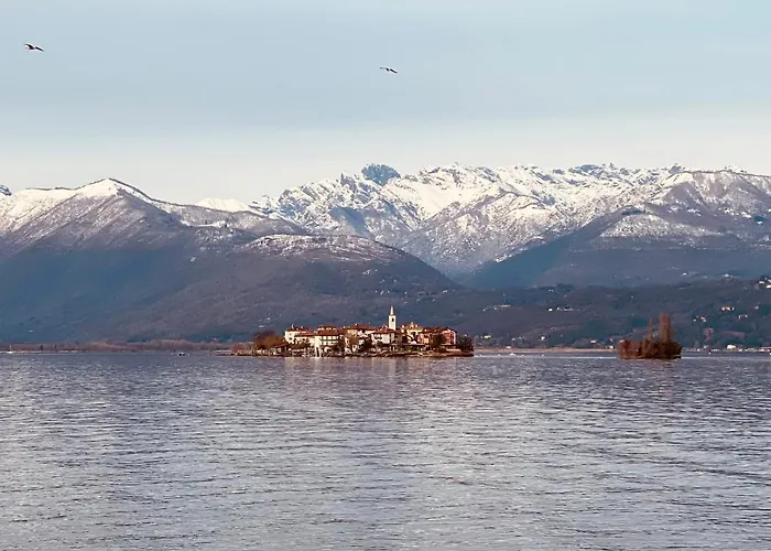 Garden * 斯特雷萨