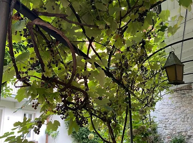 Apartamento Garden *